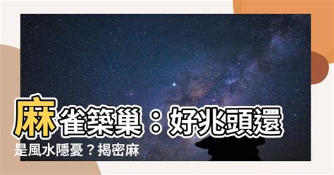 如何 讓麻雀 不要 來 築 巢|【麻雀祕密】麻雀真的變少了？「害鳥」其實是誤會？成群結隊卻。